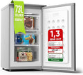 Stillstern Gefrierschrank R600A 73 l mit 4-Sterne-Gefrierfach Silber